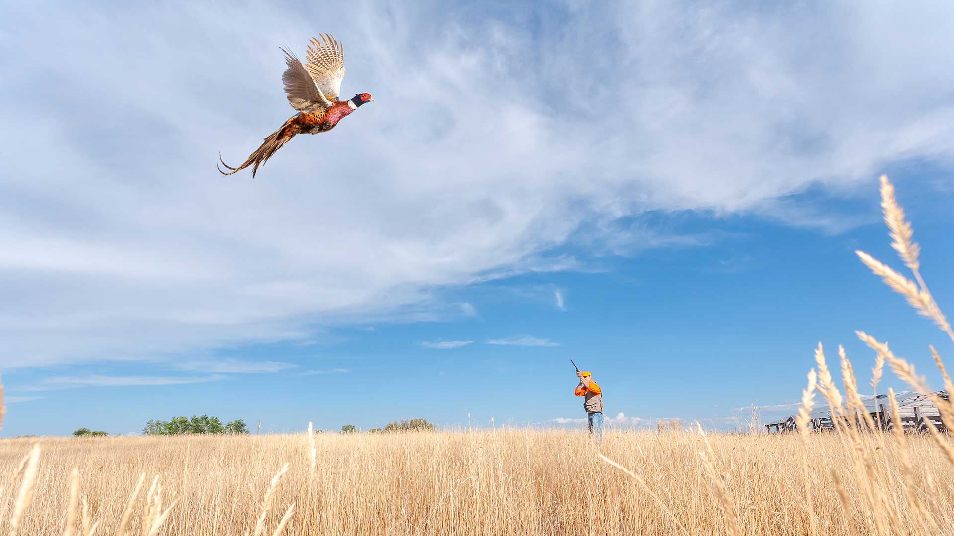 Colorado wildlife habitat conservation